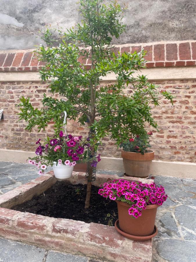 Residenza Nikol Appartamento Giulia Casale Monferrato Kültér fotó