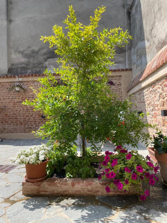 Residenza Nikol Appartamento Giulia Casale Monferrato Kültér fotó